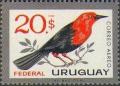 Colnect-491-751-Scarlet-headed-Blackbird-Amblyramphus-holosericeus.jpg
