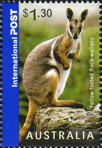 Colnect-472-392-Yellow-footed-Rock-Wallaby-Petrogale-xanthopus.jpg