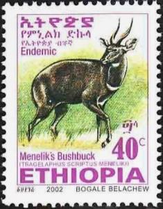 Colnect-2776-321-Menelik--s-Bushbuck-Tragelaphus-scriptus-meneliki.jpg