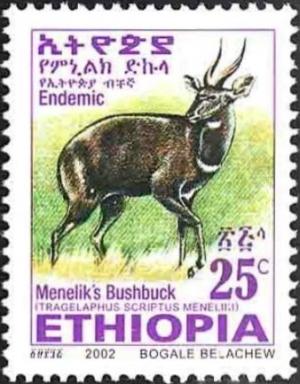 Colnect-2776-319-Menelik--s-Bushbuck-Tragelaphus-scriptus-meneliki.jpg