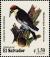 Colnect-3781-724-Acorn-Woodpecker-Melanerpes-formicivorus.jpg