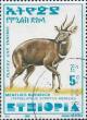 Colnect-3337-941-Menelik--s-Bushbuck-Tragelaphus-scriptus-meneliki.jpg