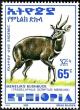 Colnect-3554-472-Menelik--s-Bushbuck-Tragelaphus-scriptus-meneliki.jpg