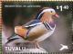 Colnect-4021-349-Mandarin-Duck%C2%A0%C2%A0%C2%A0%C2%A0Aix-galericulata.jpg