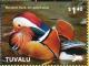 Colnect-4021-360-Mandarin-Duck%C2%A0%C2%A0%C2%A0%C2%A0Aix-galericulata.jpg