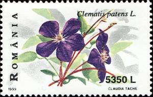 Colnect-4582-956-Clematis-patens.jpg