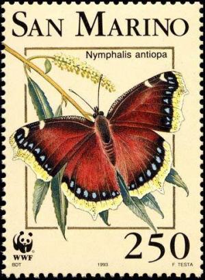Colnect-481-552-Mourning-Cloak-Nymphalis-antiopa.jpg