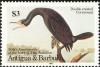 Colnect-1763-997-Double-crested-Cormorant-Phalacrocorax-auritus.jpg
