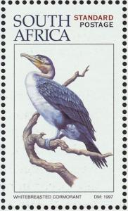 Colnect-1791-732-White-breasted-Cormorant-Phalacrocorax-lucidus.jpg