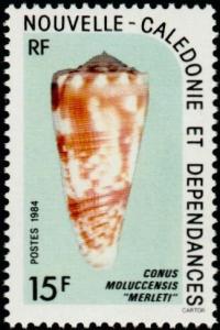 Colnect-853-969-Molucca-Cone-Conus-moluccensis.jpg
