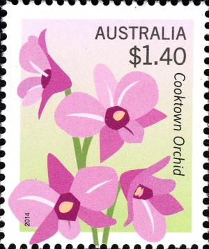 Colnect-2261-263-Cooktown-orchid.jpg