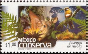 Colnect-2280-357-Mexico-Conserva--cloud-forest-.jpg