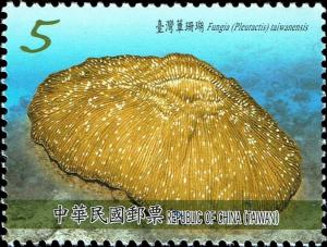 Colnect-3655-851-Mushroom-Coral-Fungia-taiwanensis.jpg