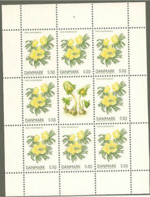 Colnect-3839-517-Winter-Aconite-Eranthis-hyemalis.jpg