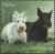 Colnect-5615-642-Scottish-Terriers.jpg