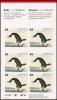 Colnect-2985-267-Double-crested-Cormorant-Phalacrocorax-auritus.jpg