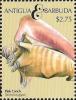 Colnect-5219-271-Pink-Conch-Strombus-gigas.jpg