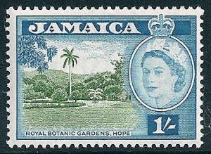 STS-Jamaica-4-300dpi.jpg-crop-446x327at1419-1088.jpg