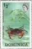 Colnect-3169-785-Cyrique-Crab-Pseudothelphusa-sp.jpg