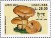 Colnect-3116-940-Lactarius-deliciosus.jpg