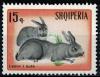 Colnect-3626-348-Domestic-Rabbit-Oryctolagus-cuniculus-forma-domestica.jpg