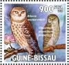 Colnect-3967-974-Little-Owl%C2%A0Athene-noctua-Eurasian-Pygmy-Owl-Glaucidium-p.jpg