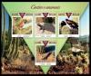 Colnect-5934-040-Cactuses-and-Animals.jpg