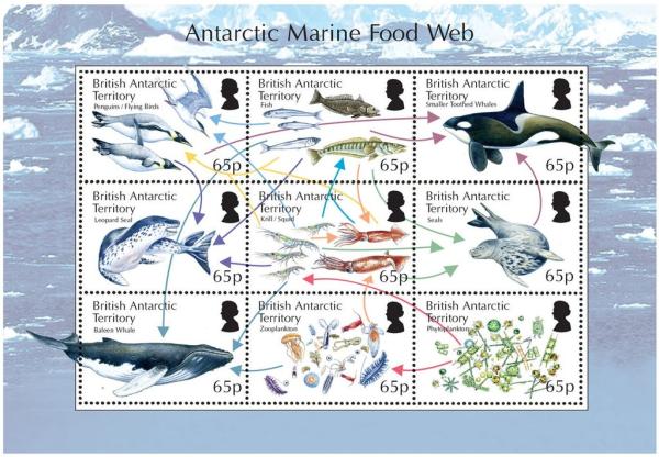 Colnect-2887-954-Antarctic-Marine-Food-Web.jpg