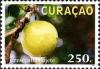 Colnect-1628-990-Plants-of-Curacao---Kalbas-di-Mondi.jpg