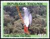 Colnect-2679-035-Grey-Parrot-Psittacus-erithacus-in-Vial-Kloto-Forest.jpg