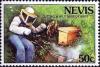 Colnect-5145-570-Beekeeper-cutting-wild-nest-of-bees.jpg