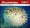 Colnect-6005-594-Longspined-Porcupinefish-Diodon-holocanthus.jpg