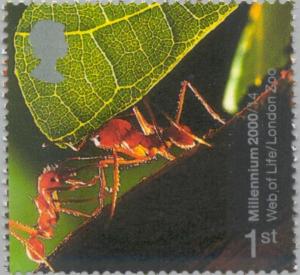 Colnect-123-379-Leafcutter-Ant-Atta-sp.jpg