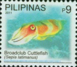 Colnect-2914-125-Broadclub-Cuttlefish-Sepia-latimanus.jpg