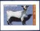 Colnect-1985-994-Moxot-oacute--Goat-Capra-hircus.jpg