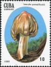 Colnect-2875-900-Inocybe-patouillardii.jpg