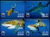 Colnect-4442-087-Whitetip-Oceanic-Shark-Carcharhinus-longimanus.jpg