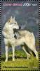 Colnect-5646-308-Czech-Wolfhound.jpg