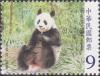 Colnect-3543-845-Giant-Panda-Ailuropoda-melanoleuca.jpg