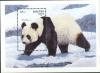 Colnect-3600-315-Giant-Panda-Ailuropoda-melanoleuca.jpg