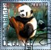 Colnect-3886-480-Giant-Panda-Ailuropoda-melanoleuca.jpg