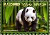 Colnect-6243-201-Giant-Panda-Ailuropoda-melanoleuca.jpg