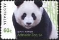 Colnect-6285-963-Giant-Panda-Ailuropoda-melanoleuca.jpg