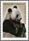 Colnect-1535-173-Giant-Panda-Ailuropoda-melanoleuca.jpg