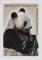 Colnect-3876-207-Giant-Panda-Ailuropoda-melanoleuca.jpg