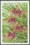 Colnect-3147-319-Dendrobium-tokai.jpg