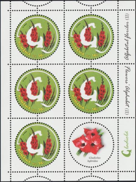 Colnect-5893-481-Letter-G-and-Garden-Gladiola-Gladiolus-hybridus.jpg