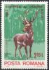 Colnect-741-333-Red-Deer-Cervus-elaphus.jpg