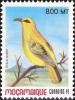 Colnect-1120-132-African-Golden-Oriole-Oriolus-auratus.jpg