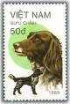 Colnect-1635-880-Munsterlander-Canis-lupus-familiaris.jpg